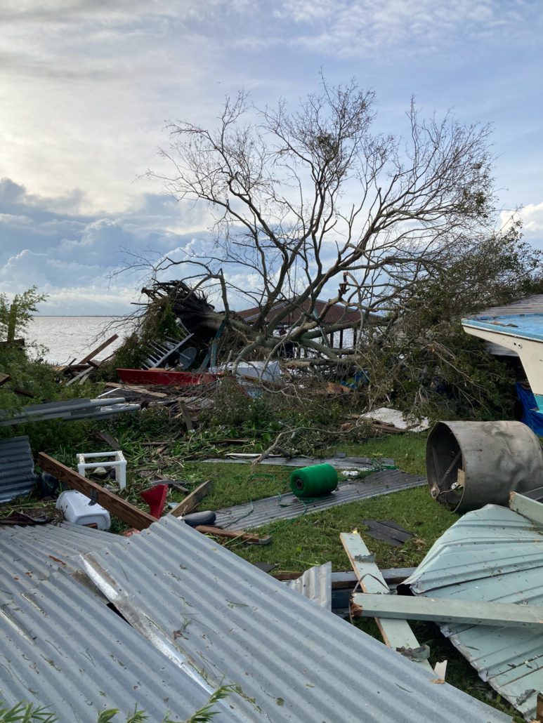 Fallen Tree Destroyed Homes Hurricane Ida